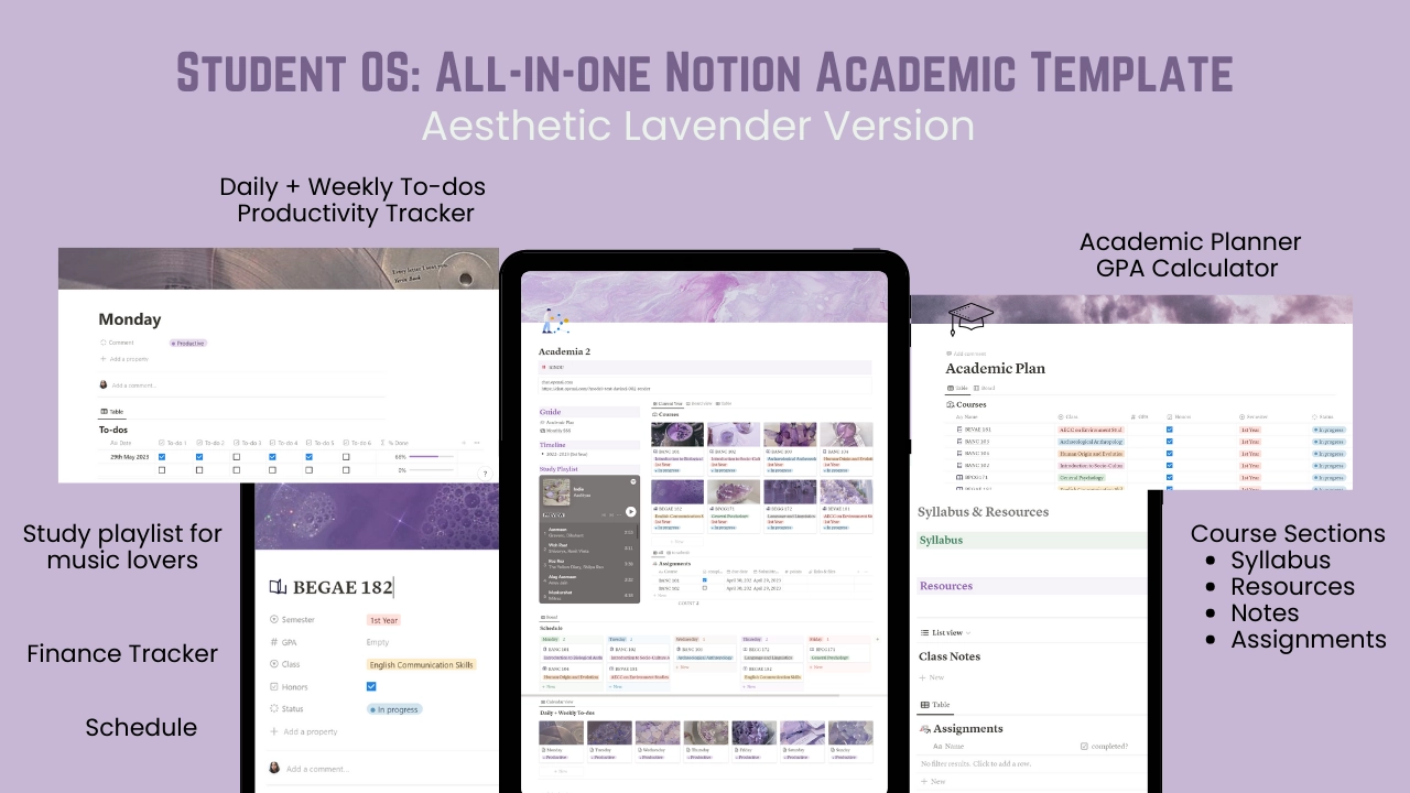 Notion  Academic Template