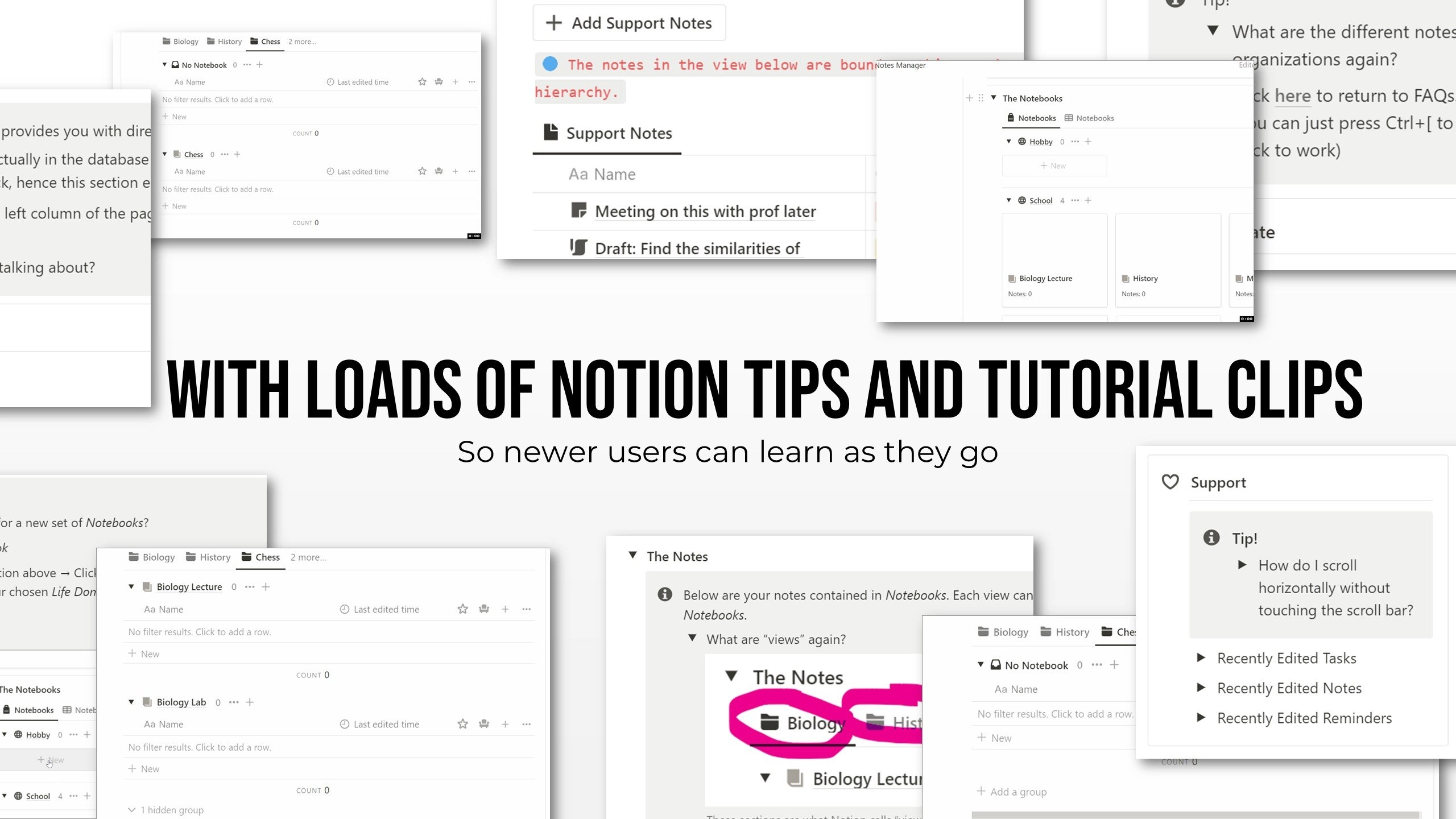 Notion Notes Manager