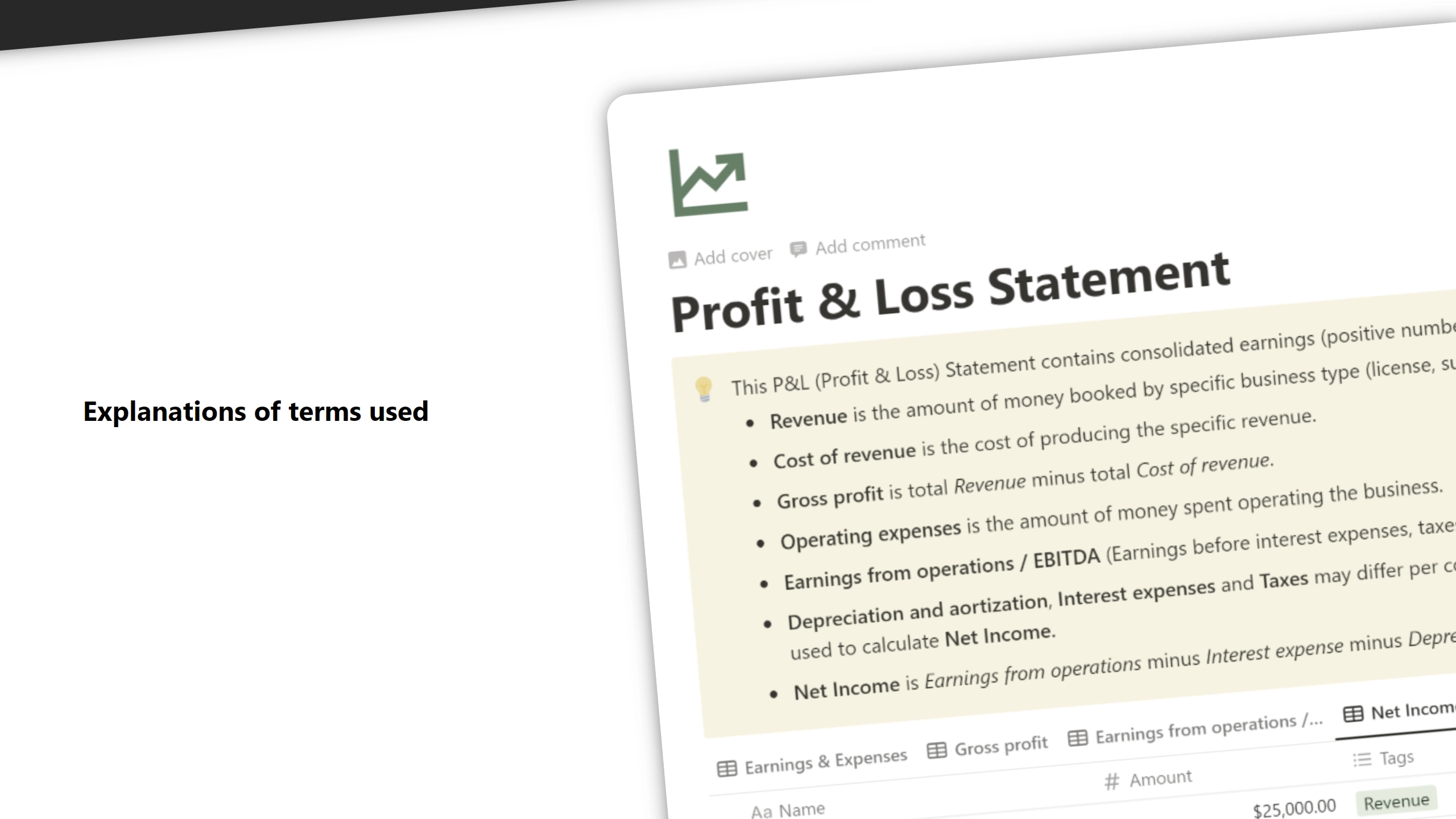 Notion Profit & Loss (P&L) Statement