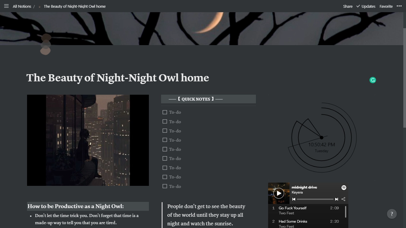 The Beauty of Nightnight Owl Home Notion Template