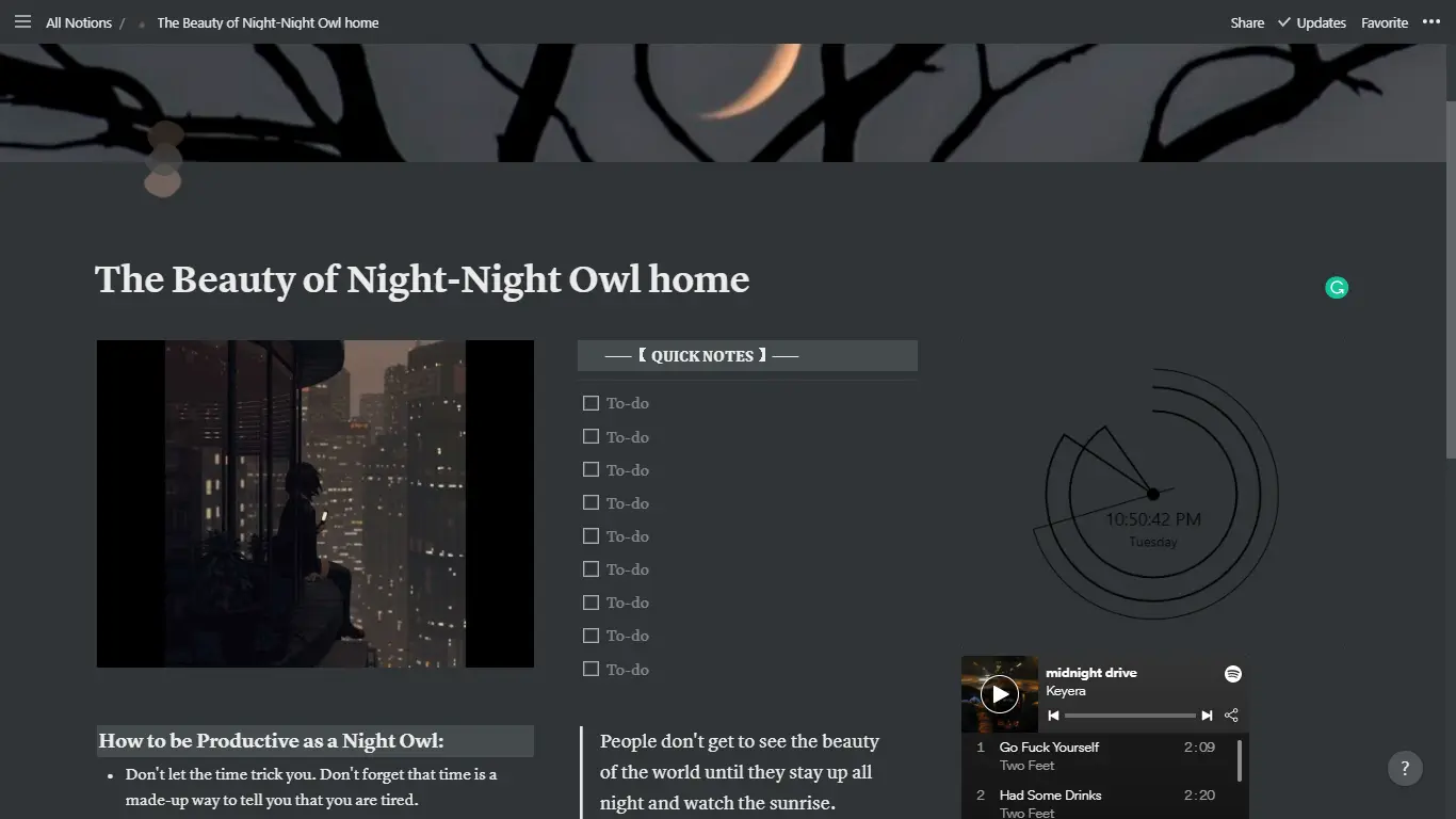 The Beauty of Nightnight Owl Home Notion Template image
